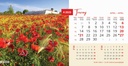 "PRIRODA" 13 list., dim: 20,5x14,5 cm, stolni kalendar, koverta, P/100