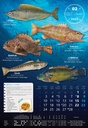 "S RIBARNICE" 13 list., dim: 33x55 cm, PVC vrećica, P/40, color kalendar