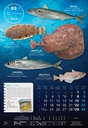 "S RIBARNICE" 13 list., dim: 33x55 cm, PVC vrećica, P/40, color kalendar