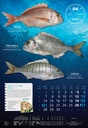 "S RIBARNICE" 13 list., dim: 33x55 cm, PVC vrećica, P/40, color kalendar
