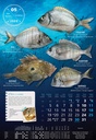 "S RIBARNICE" 13 list., dim: 33x55 cm, PVC vrećica, P/40, color kalendar