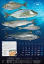 "S RIBARNICE" 13 list., dim: 33x55 cm, PVC vrećica, P/40, color kalendar