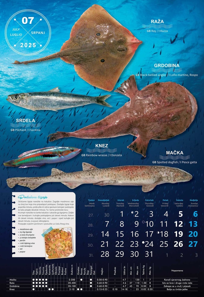 "S RIBARNICE" 13 list., dim: 33x55 cm, PVC vrećica, P/40, color kalendar