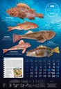 "S RIBARNICE" 13 list., dim: 33x55 cm, PVC vrećica, P/40, color kalendar