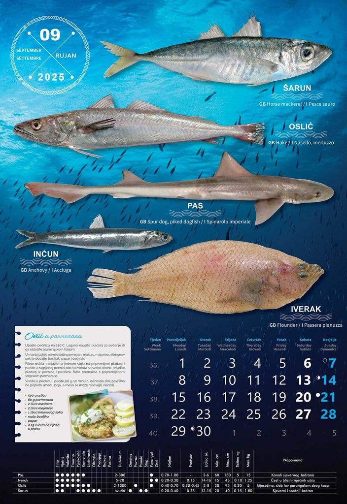 "S RIBARNICE" 13 list., dim: 33x55 cm, PVC vrećica, P/40, color kalendar