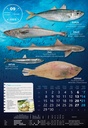 "S RIBARNICE" 13 list., dim: 33x55 cm, PVC vrećica, P/40, color kalendar