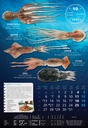 "S RIBARNICE" 13 list., dim: 33x55 cm, PVC vrećica, P/40, color kalendar