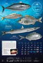 "S RIBARNICE" 13 list., dim: 33x55 cm, PVC vrećica, P/40, color kalendar