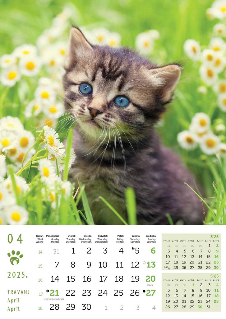 "PSI i MAČKE" 13 list., dim: 30,5x50 cm, PVC vrećica, P/50, color kalendar 