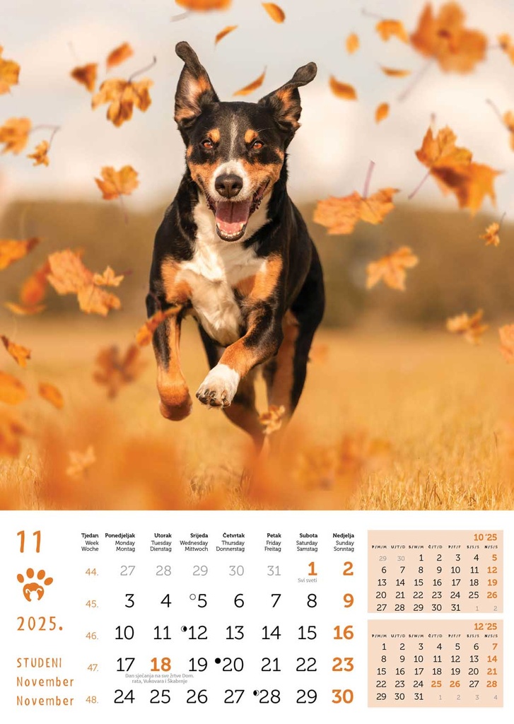 "PSI i MAČKE" 13 list., dim: 30,5x50 cm, PVC vrećica, P/50, color kalendar 
