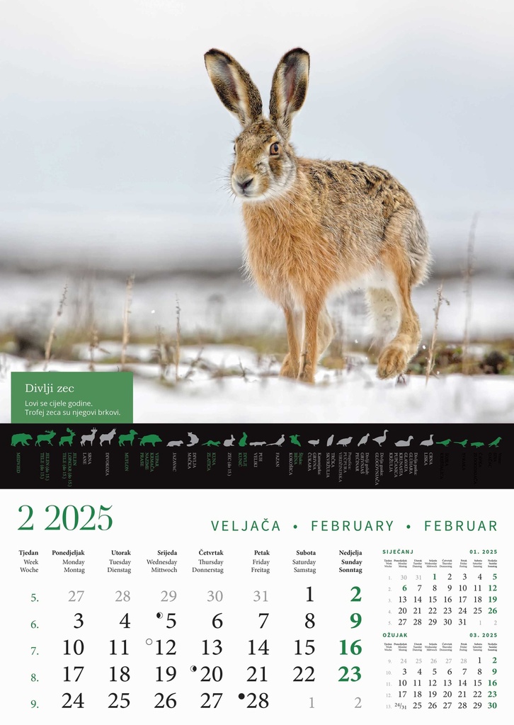 "KALENDAR LOVA" 13 list., dim: 30,5x50 cm, PVC vrećica, P/50, color kalendar
