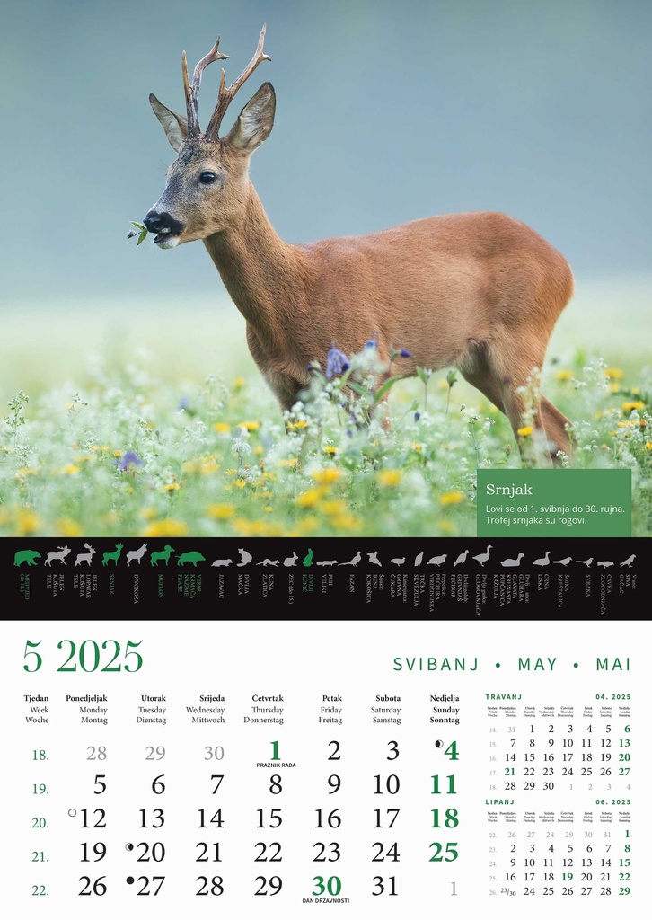 "KALENDAR LOVA" 13 list., dim: 30,5x50 cm, PVC vrećica, P/50, color kalendar