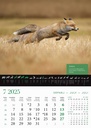 "KALENDAR LOVA" 13 list., dim: 30,5x50 cm, PVC vrećica, P/50, color kalendar