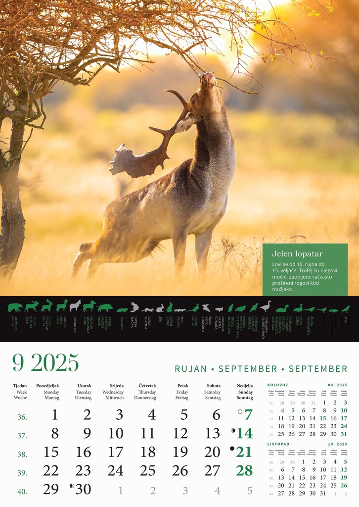 "KALENDAR LOVA" 13 list., dim: 30,5x50 cm, PVC vrećica, P/50, color kalendar