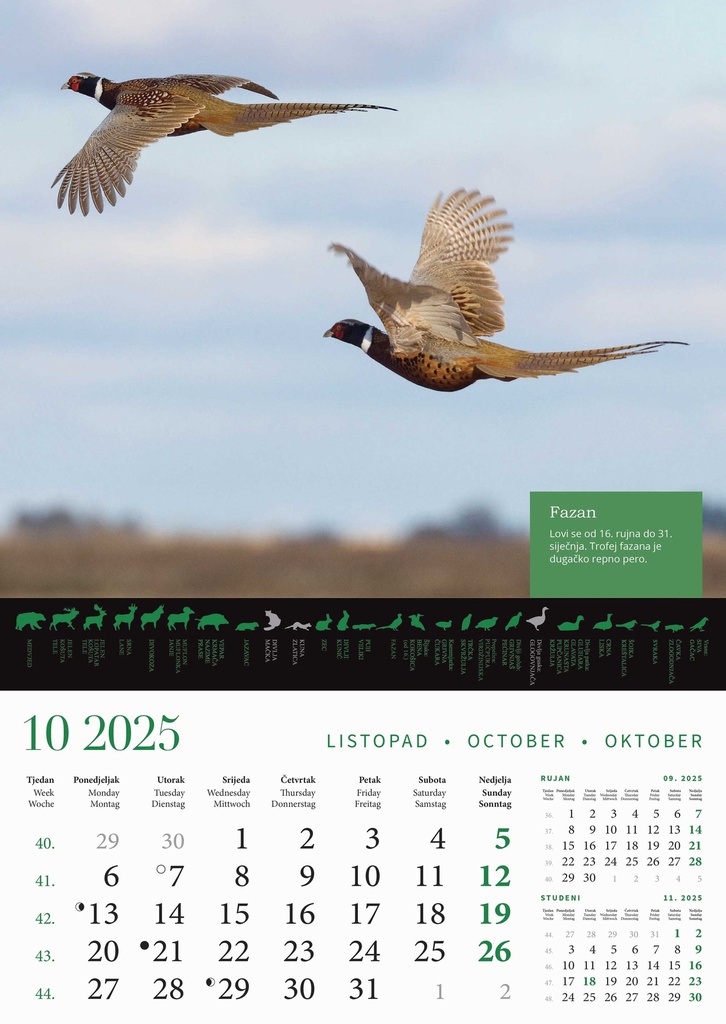 "KALENDAR LOVA" 13 list., dim: 30,5x50 cm, PVC vrećica, P/50, color kalendar
