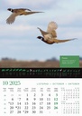 "KALENDAR LOVA" 13 list., dim: 30,5x50 cm, PVC vrećica, P/50, color kalendar