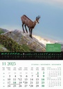 "KALENDAR LOVA" 13 list., dim: 30,5x50 cm, PVC vrećica, P/50, color kalendar