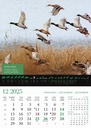 "KALENDAR LOVA" 13 list., dim: 30,5x50 cm, PVC vrećica, P/50, color kalendar