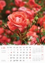 "CVIJEĆE" 13 list., dim: 24x53,5 cm, PVC vrećica, P/50, color kalendar