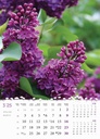 "CVIJEĆE" 13 list., dim: 24x53,5 cm, PVC vrećica, P/50, color kalendar
