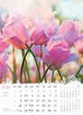 "CVIJEĆE" 13 list., dim: 24x53,5 cm, PVC vrećica, P/50, color kalendar