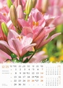 "CVIJEĆE" 13 list., dim: 24x53,5 cm, PVC vrećica, P/50, color kalendar