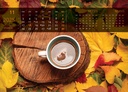 "JUST RELAX" 13 list., dim: 33,5x31 cm, PVC vrećica, P/50, color kalendar