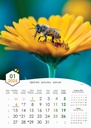 "PČELE" 13 list., dim: 30,5x50 cm, PVC vrećica, P/50, color kalendar