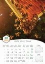 "PČELE" 13 list., dim: 30,5x50 cm, PVC vrećica, P/50, color kalendar