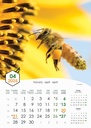 "PČELE" 13 list., dim: 30,5x50 cm, PVC vrećica, P/50, color kalendar