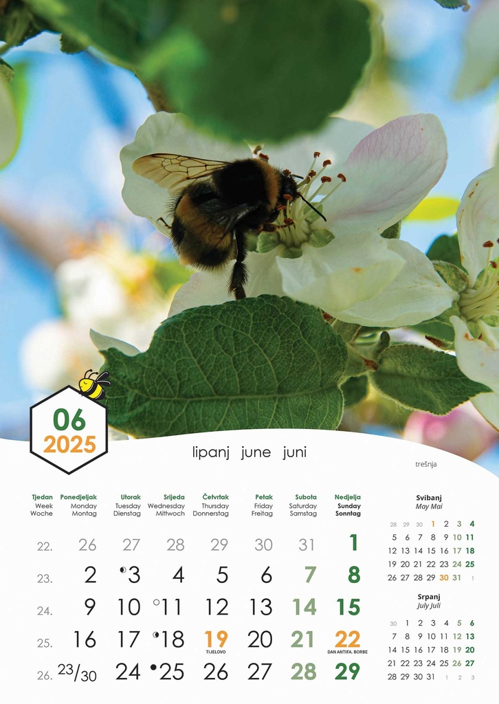 "PČELE" 13 list., dim: 30,5x50 cm, PVC vrećica, P/50, color kalendar