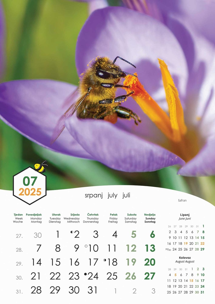 "PČELE" 13 list., dim: 30,5x50 cm, PVC vrećica, P/50, color kalendar