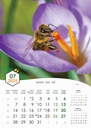 "PČELE" 13 list., dim: 30,5x50 cm, PVC vrećica, P/50, color kalendar