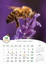 "PČELE" 13 list., dim: 30,5x50 cm, PVC vrećica, P/50, color kalendar