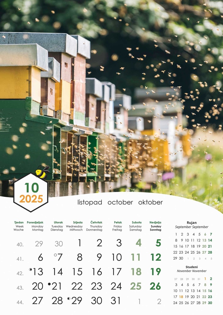 "PČELE" 13 list., dim: 30,5x50 cm, PVC vrećica, P/50, color kalendar