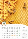 "PČELE" 13 list., dim: 30,5x50 cm, PVC vrećica, P/50, color kalendar