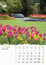 "VRTOVI" 13 list.,  dim: 24x53,5 cm, PVC vrećica, P/50, color kalendar