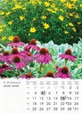 "VRTOVI" 13 list.,  dim: 24x53,5 cm, PVC vrećica, P/50, color kalendar