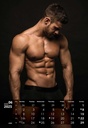 "MASCULINE" 13 list., dim: 33x55cm, PVC vrećica, P/40, color kalendar
