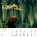 "ČARI PRIRODE" 13 lis. dim: 33x40cm, PVC vrećica, P/50, color kalendar
