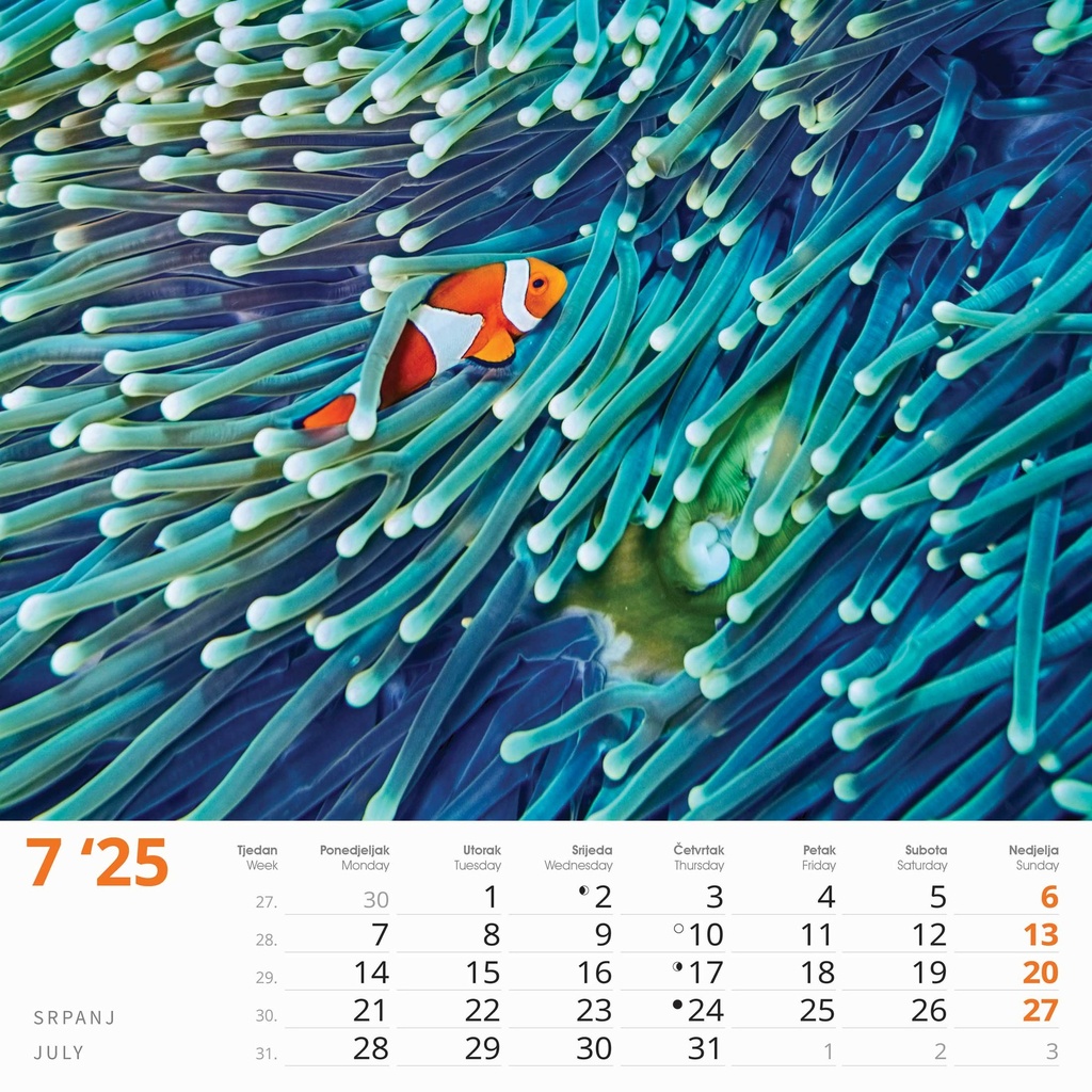 "ČARI PRIRODE" 13 lis. dim: 33x40cm, PVC vrećica, P/50, color kalendar