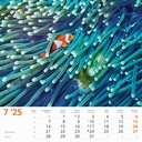 "ČARI PRIRODE" 13 lis. dim: 33x40cm, PVC vrećica, P/50, color kalendar