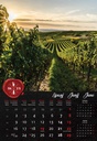 "VINO" 13 list., dim: 33x55 cm, PVC vrećica, P/40, color kalendar