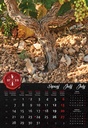 "VINO" 13 list., dim: 33x55 cm, PVC vrećica, P/40, color kalendar