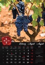"VINO" 13 list., dim: 33x55 cm, PVC vrećica, P/40, color kalendar