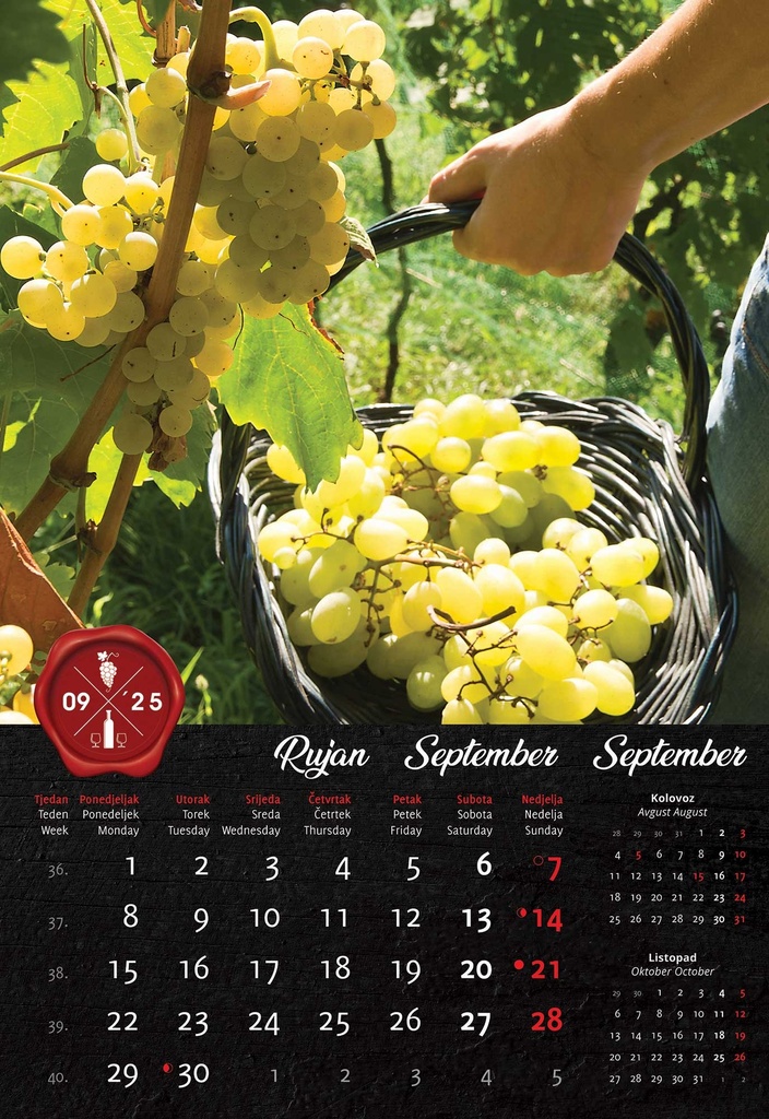 "VINO" 13 list., dim: 33x55 cm, PVC vrećica, P/40, color kalendar