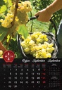"VINO" 13 list., dim: 33x55 cm, PVC vrećica, P/40, color kalendar