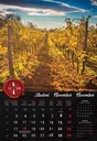 "VINO" 13 list., dim: 33x55 cm, PVC vrećica, P/40, color kalendar