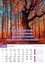 "MOTIVACIJSKI KALENDAR" 13 list., dim: 30,5x50 cm, PVC vrećica, P/50, color kalendar 