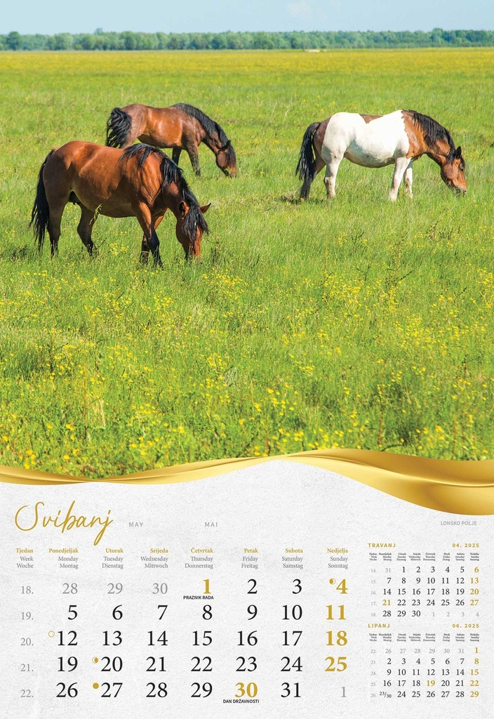 "MOJA ZLATNA SLAVONIJA i BARANJA"  13 list., dim: 33x55 cm, PVC vrećica, P/40, color kalendar